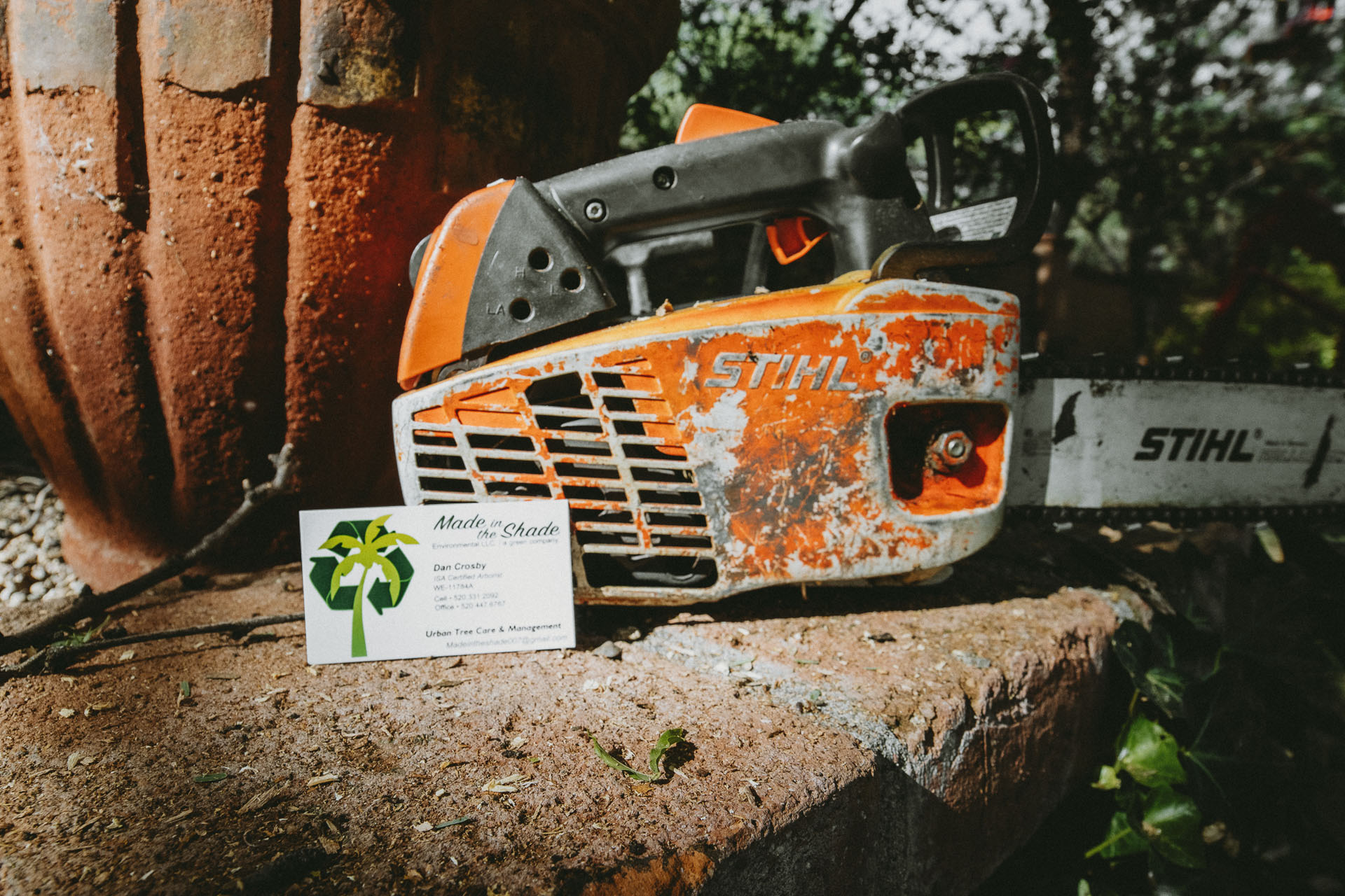 Made in the Shade - Certified Arborist - Expert Tree Service gallery 3