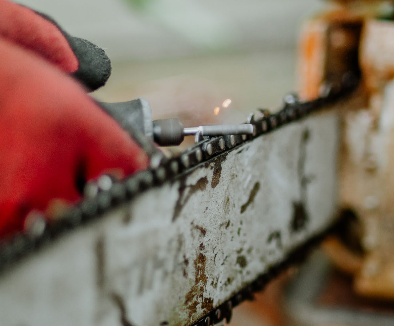 Made in the Shade - Certified Arborist - Expert Tree Service gallery 2