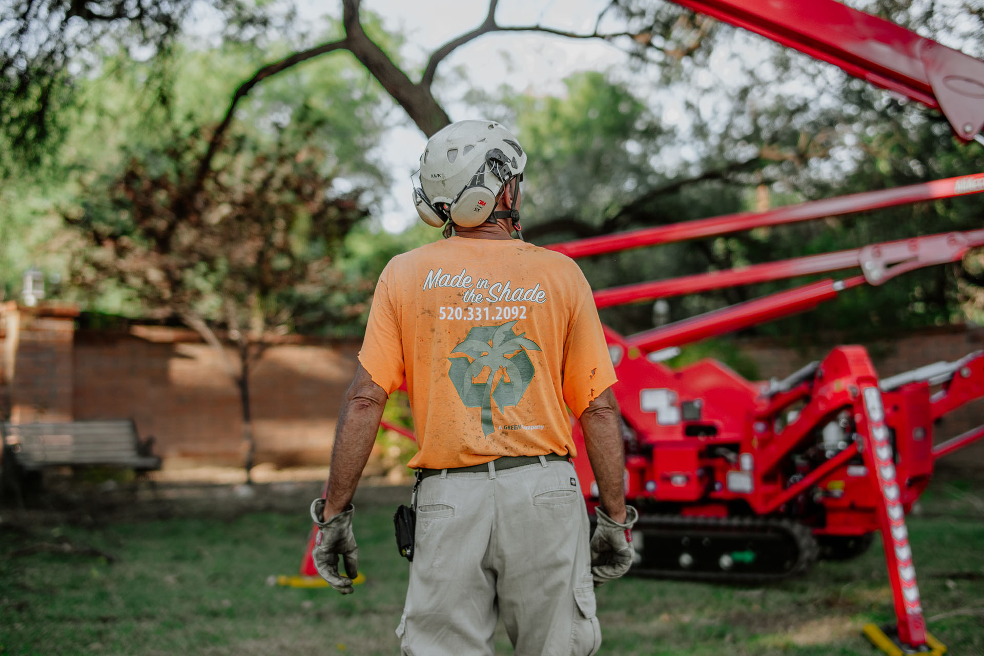 Made in the Shade - Certified Arborist - Expert Tree Service gallery 7