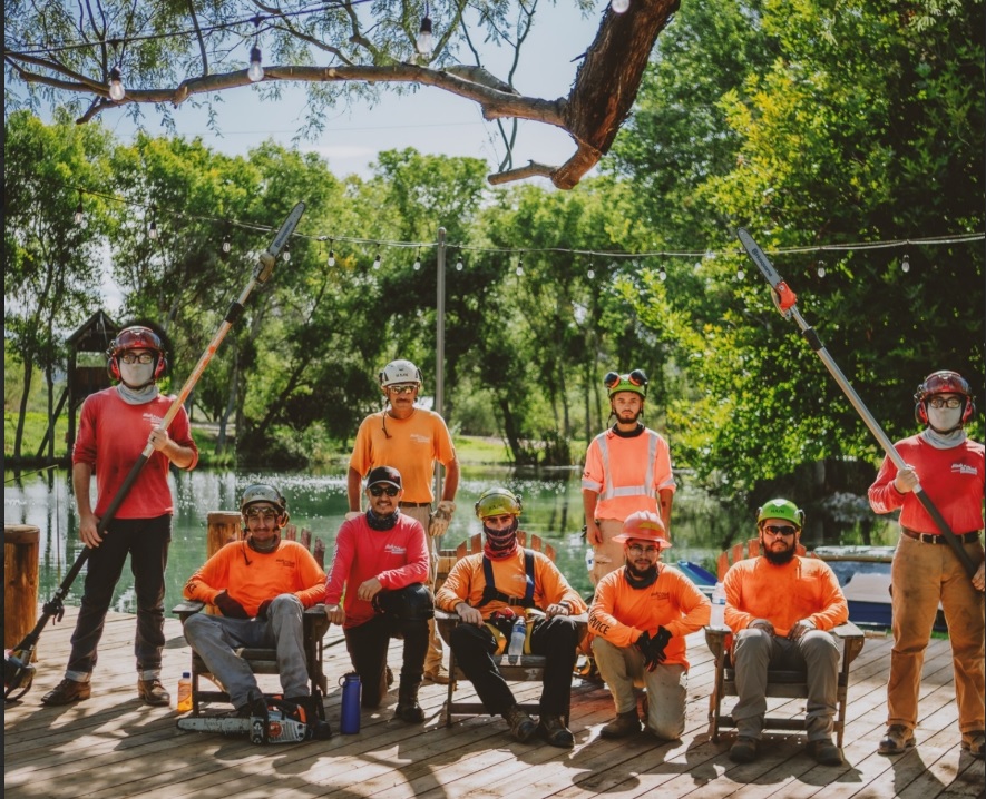 Made in the Shade - Certified Arborist - Expert Tree Service gallery 5